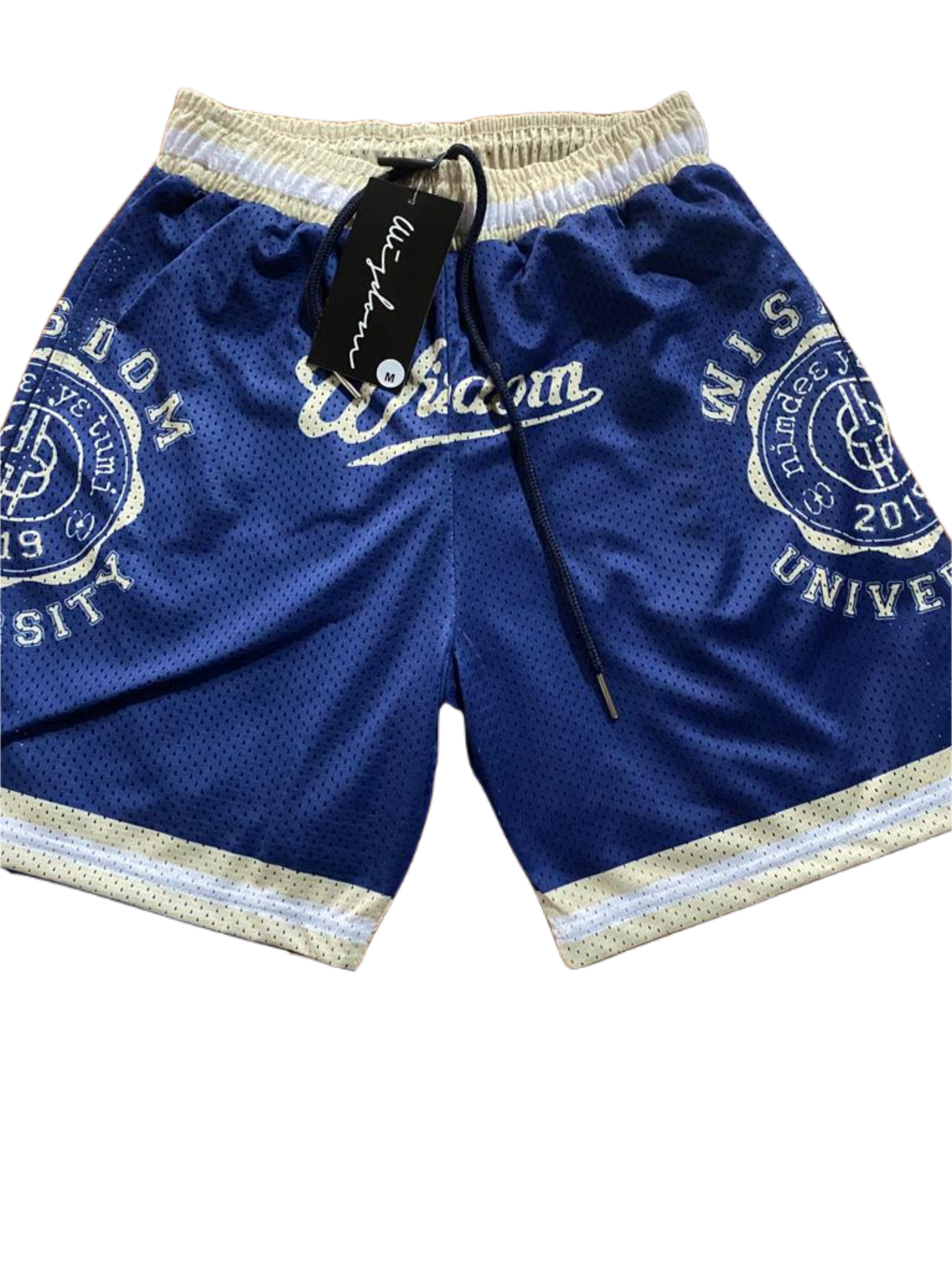 “Wisdom University” Vintage Shorts