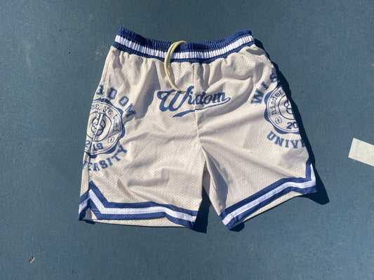 “Wisdom University” Vintage Shorts