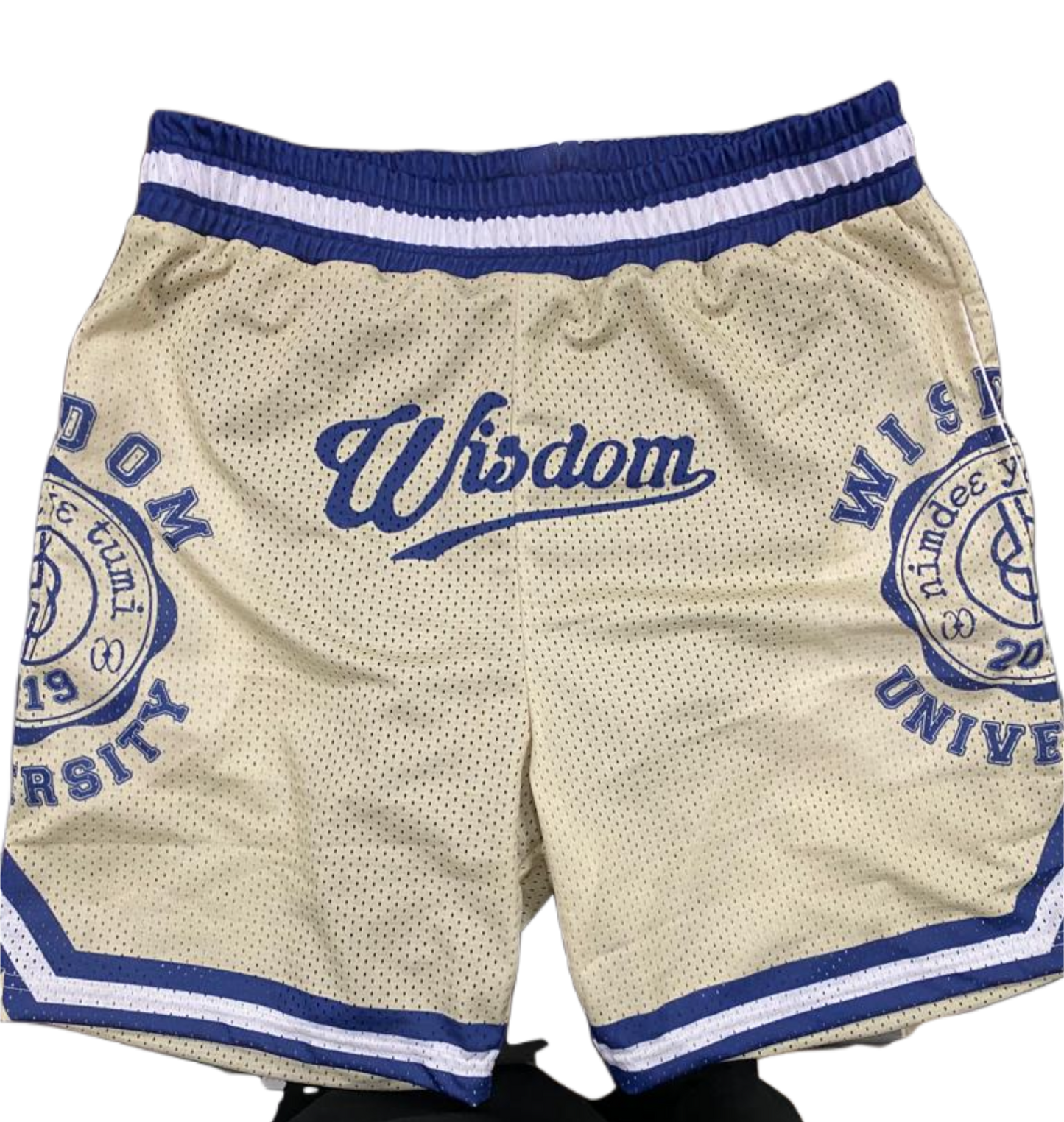 “Wisdom University” Vintage Shorts